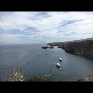 Meet your Posher, Lorne